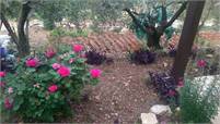 Old House for Sale Jran Batroun Housing Area 100Sqm and Land Area 1320Sqm.